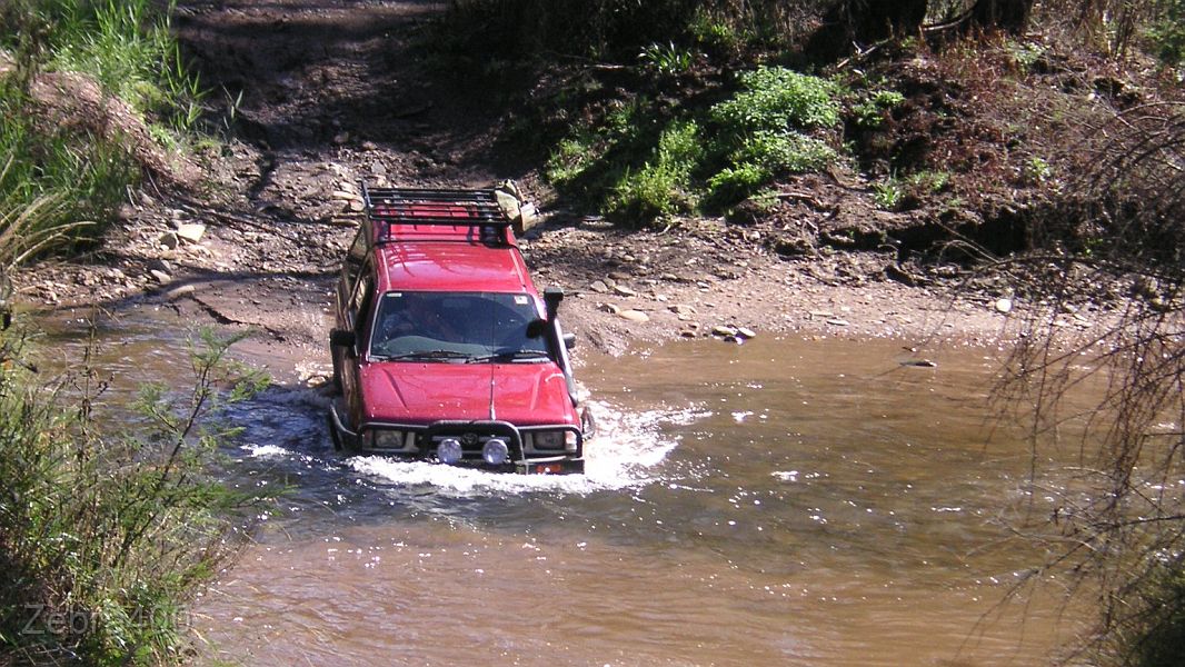 09-Gopher splashes his way across the Dargo River.jpg